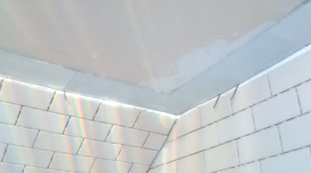  LED Shower Light in the unlit and not capped off with ceiling tile