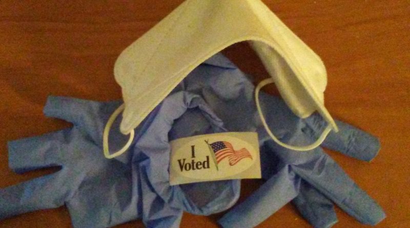 I voted in person with precautions